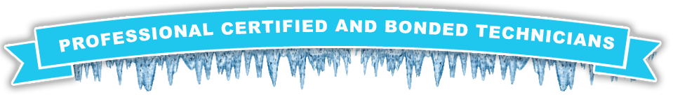 professional ice machine repair technitians